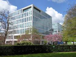 Hollandgreen in London (England); Produktion und Lieferung